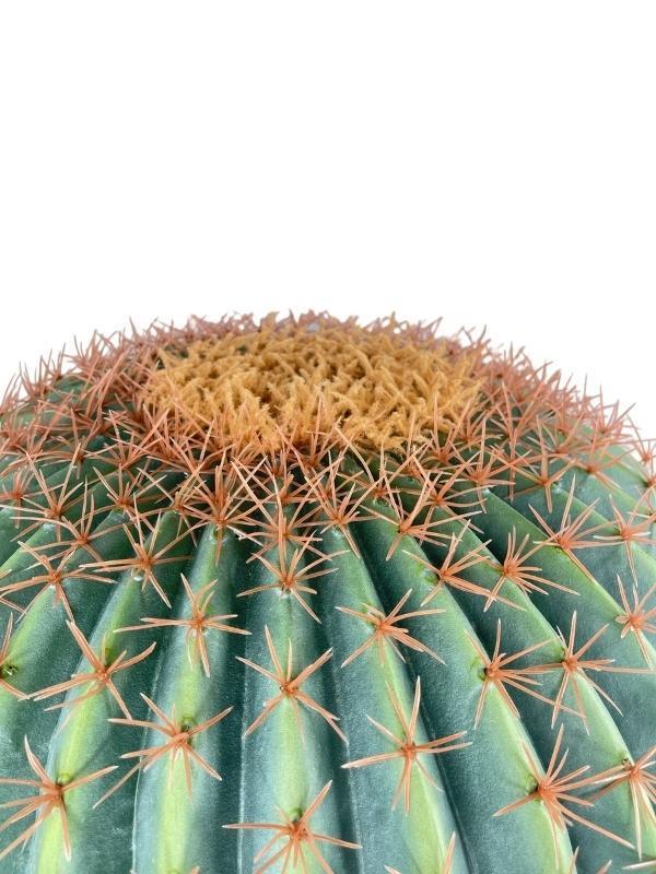 Yapay Çiçek Echinocactus Grusonii Altın Fıçı Kaktüs  60*60cm Cactüs  sk4012