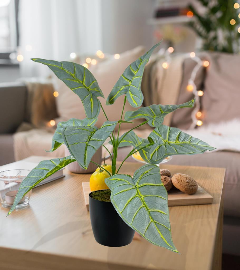 Yapay Çiçek Fil Kulağı Açık Yeşil Islak Doku Salon Bitkisi Siyah Saksıda 40cm 9 Yapraklı 