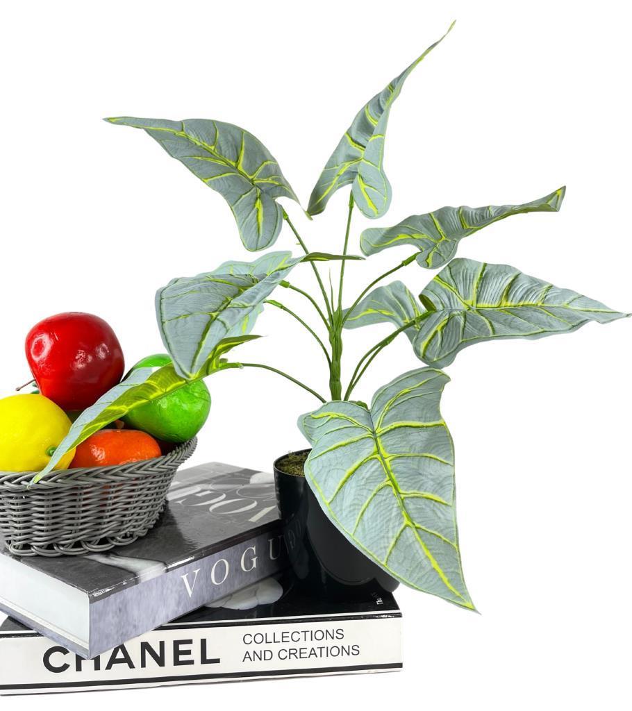 Yapay Çiçek Fil Kulağı Açık Yeşil Islak Doku Salon Bitkisi Siyah Saksıda 40cm 9 Yapraklı 