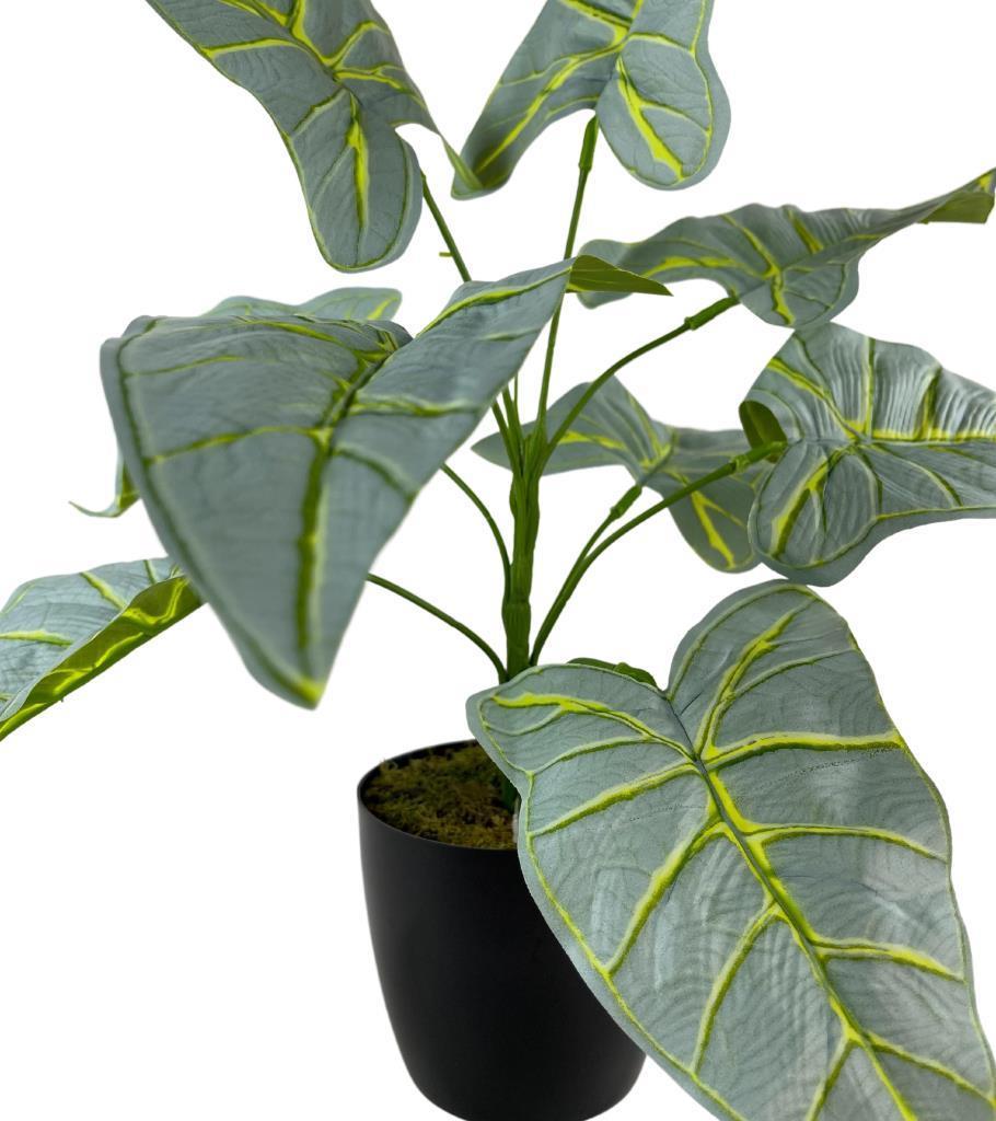 Yapay Çiçek Fil Kulağı Açık Yeşil Islak Doku Salon Bitkisi Siyah Saksıda 40cm 9 Yapraklı 