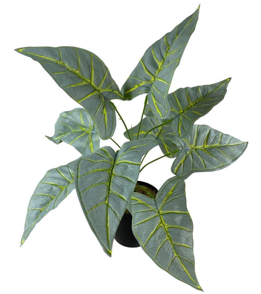 Yapay Çiçek Fil Kulağı Açık Yeşil Islak Doku Salon Bitkisi Siyah Saksıda 40cm 9 Yapraklı 