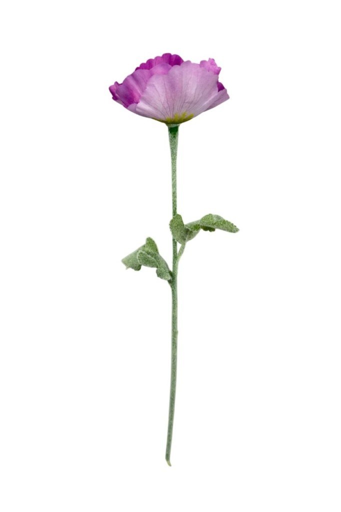 Yapay Çiçek Gelincik Çiçeği Tek Dal Lila Renk 45Cm