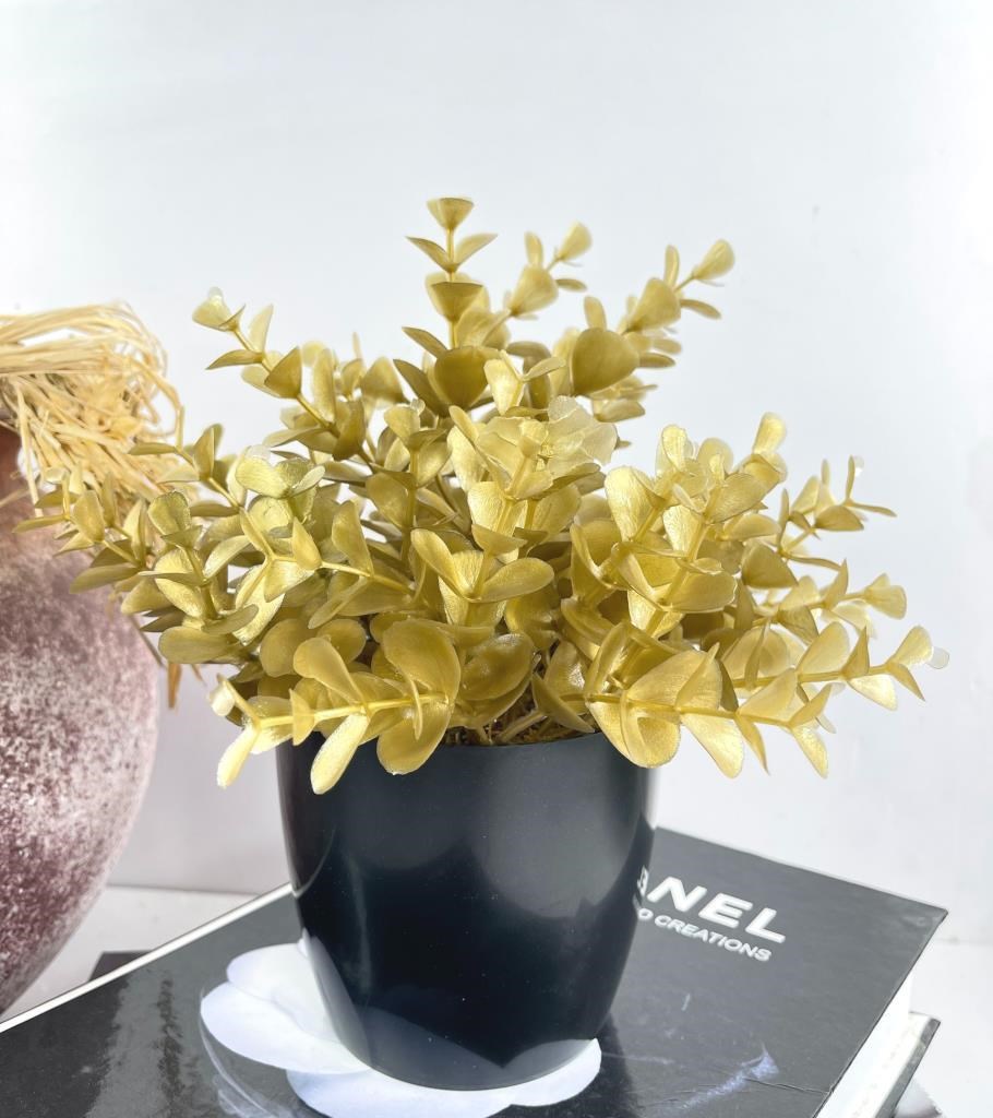 Yapay Çiçek Gold Renk Şimşir Siyah Saksıda Siyah Plastik Saksılı Dekoratif Süs Çiçeği