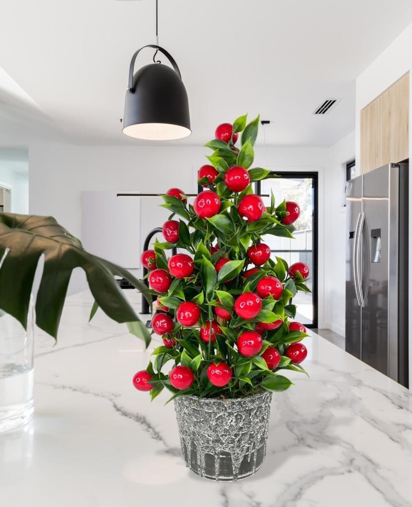 Yapay Çiçek Gri Seramik Saksıda Kiraz Ağacı Kırmızı Top Çiçek  