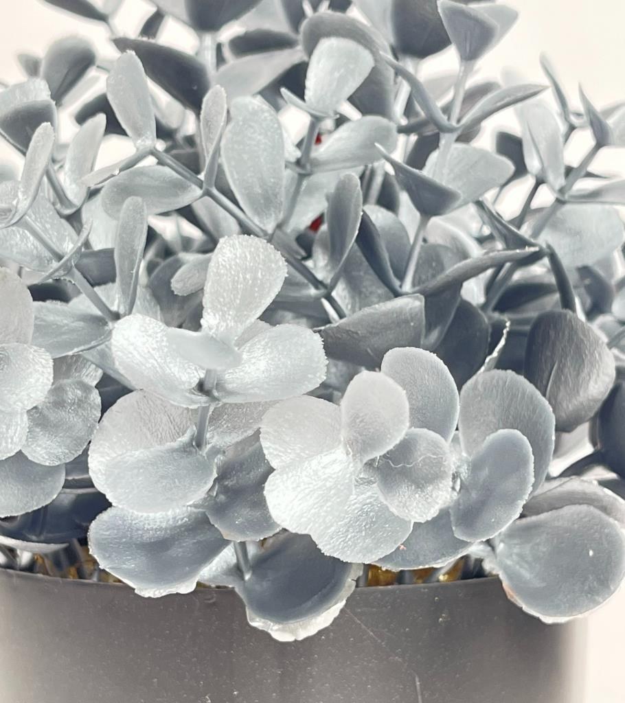 Yapay Çiçek Gümüş Renk Şimşir Siyah Saksıda Siyah Plastik Saksılı Dekoratif Süs Çiçeği