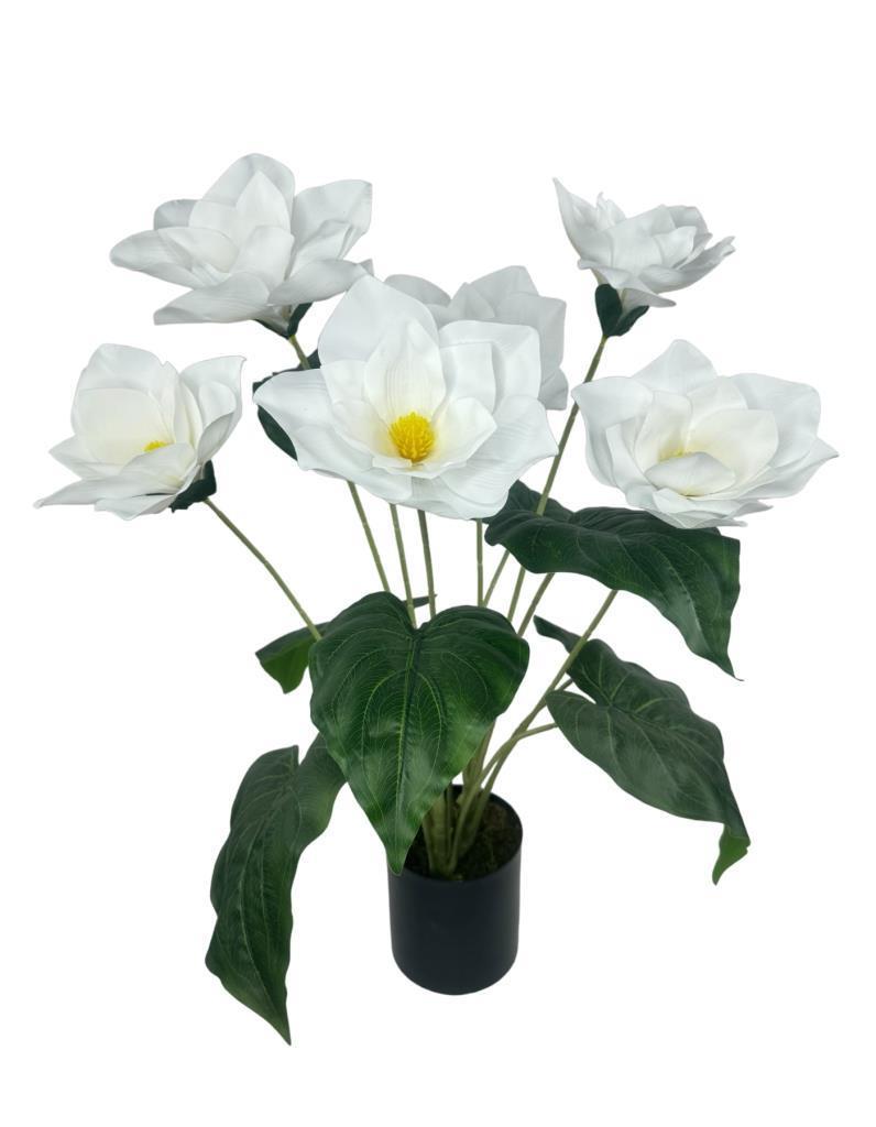 Yapay Çiçek Islak Manolya Çiçeği 6 Çiçekli 65cm Siyah Saksıda  Salon Çiçeği