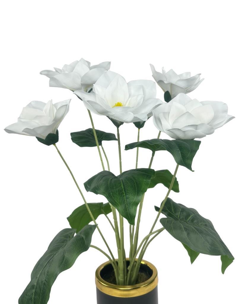 Yapay Çiçek Islak Manolya Çiçeği 6 Çiçekli 65cm Gold Siyah Darbuka Galvaniz Vazoda Salon Çiçeği