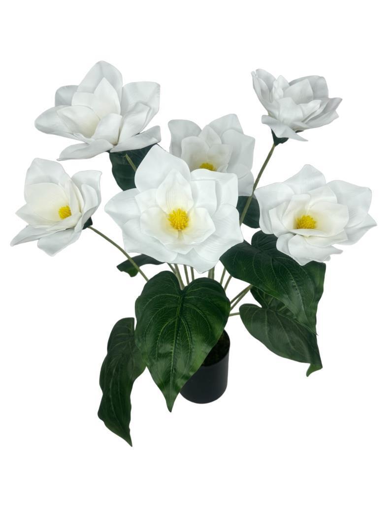 Yapay Çiçek Islak Manolya Çiçeği 6 Çiçekli 65cm Siyah Saksıda  Salon Çiçeği