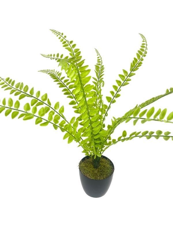 Yapay Çiçek Islak Sıkas Yukka 15yaprak 50cm Salon Çiçeği Plastik Siyah Saksılı Yapay Bitki