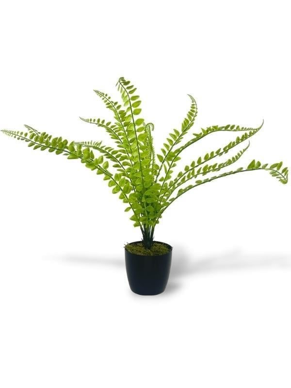 Yapay Çiçek Islak Sıkas Yukka 15yaprak 50cm Salon Çiçeği Plastik Siyah Saksılı Yapay Bitki