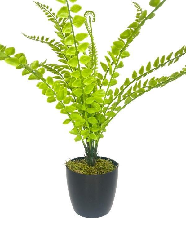 Yapay Çiçek Islak Sıkas Yukka 15yaprak 50cm Salon Çiçeği Plastik Siyah Saksılı Yapay Bitki