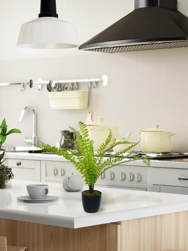 Yapay Çiçek Islak Sıkas Yukka 15yaprak 50cm Salon Çiçeği Plastik Siyah Saksılı Yapay Bitki