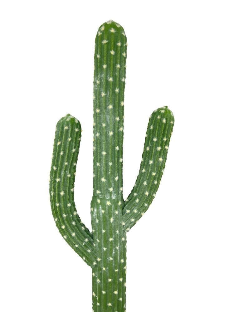 Yapay Çiçek Kaktüs Ağacı 3Kollu 54*20cm sk4018
