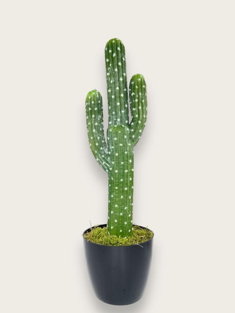 Yapay Çiçek Kaktüs Ağacı 3Kollu Siyah Saksıda 56*15cm sk4019