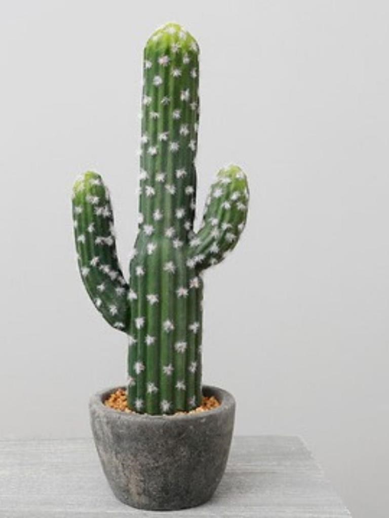 Yapay Çiçek Kaktüs Ağacı 3Kollu Siyah Saksıda 56*15cm sk4019