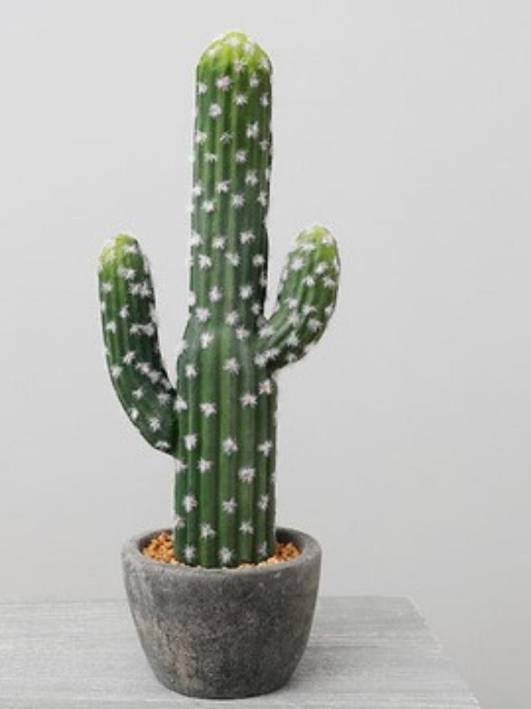 Yapay Çiçek Kaktüs Ağacı 3Kollu Siyah Saksıda 56*15cm sk4019