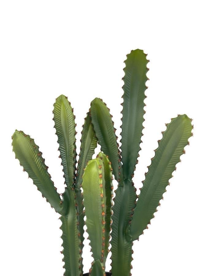 Yapay Çiçek Kaktüs Ağacı 3Köşeli 3Boy Siyah Saksıda 70*30cm sk4020