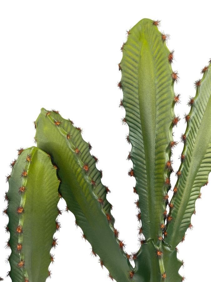 Yapay Çiçek Kaktüs Ağacı 3Köşeli 3Boy Siyah Saksıda 70*30cm sk4020