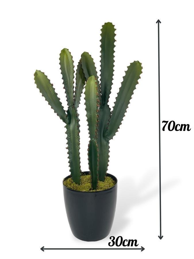 Yapay Çiçek Kaktüs Ağacı 3Köşeli 3Boy Siyah Saksıda 70*30cm sk4020