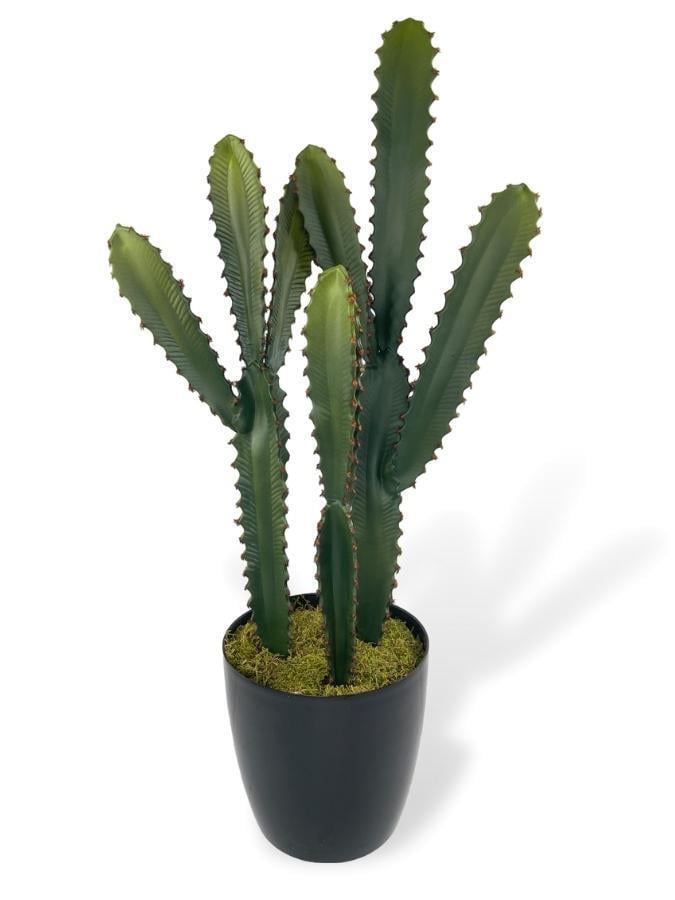Yapay Çiçek Kaktüs Ağacı 3Köşeli 3Boy Siyah Saksıda 70*30cm sk4020