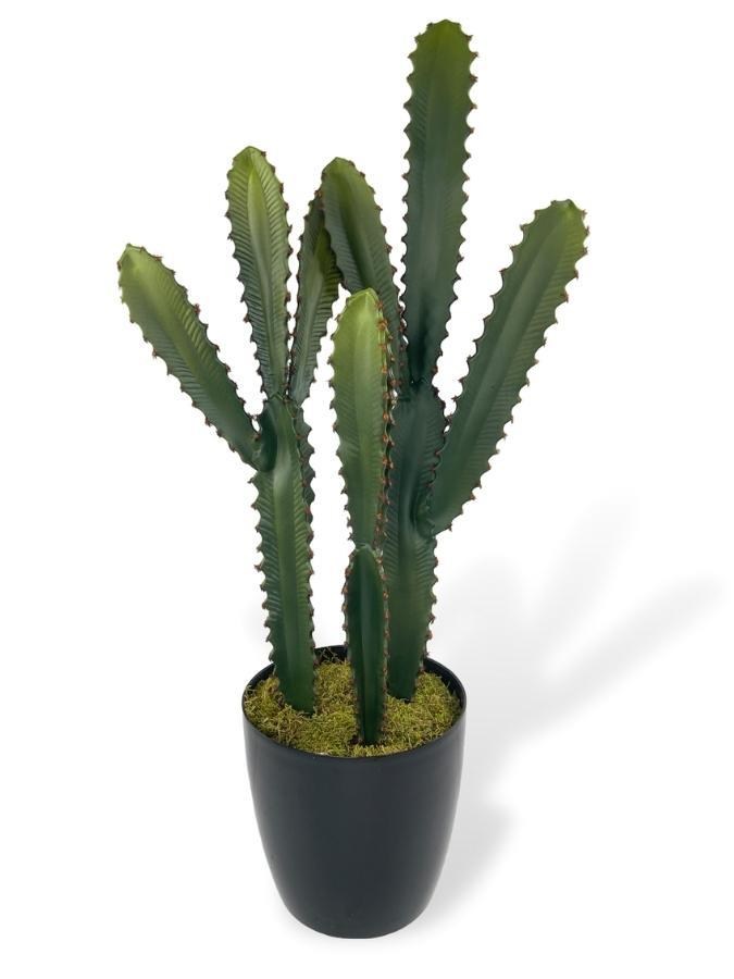 Yapay Çiçek Kaktüs Ağacı 3Köşeli 3Boy Siyah Saksıda 70*30cm sk4020