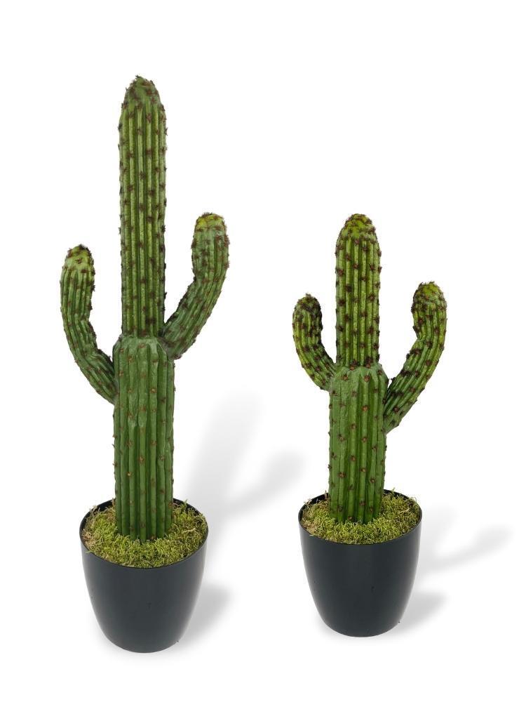 Yapay Çiçek Kaktüs Ağacı Koyuyeşil 2li Set 3Kollu Siyah Saksıda sk4022