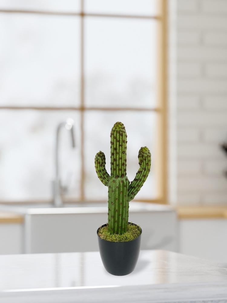 Yapay Çiçek Kaktüs Ağacı Koyuyeşil 2li Set 3Kollu Siyah Saksıda sk4022