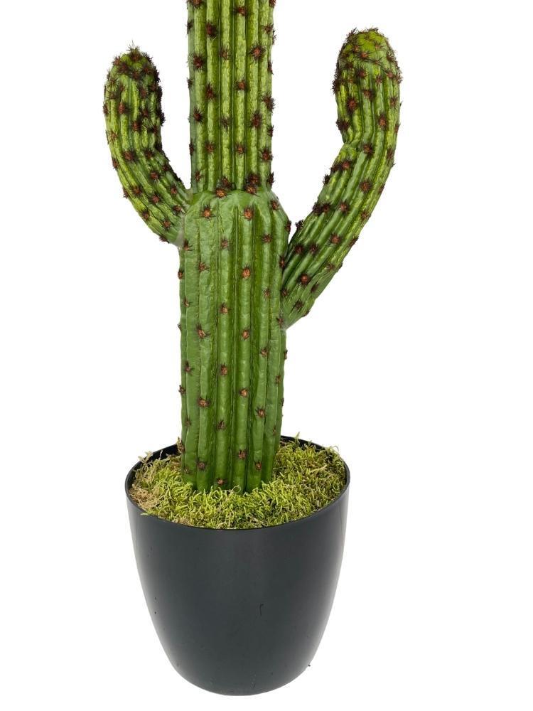 Yapay Çiçek Kaktüs Ağacı Koyuyeşil 2li Set 3Kollu Siyah Saksıda sk4022