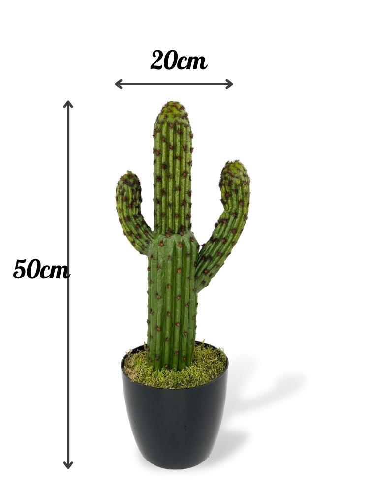 Yapay Çiçek Kaktüs Ağacı Koyuyeşil 2li Set 3Kollu Siyah Saksıda sk4022