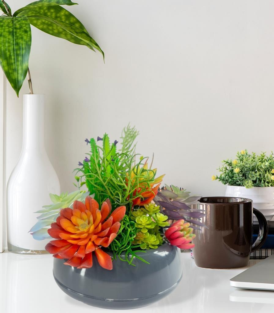 Yapay Çiçek Kaktüs Sukulent Aranjmanı Antrasit Renk Plastik Saksıda 10 adet Karışık Model Skulent