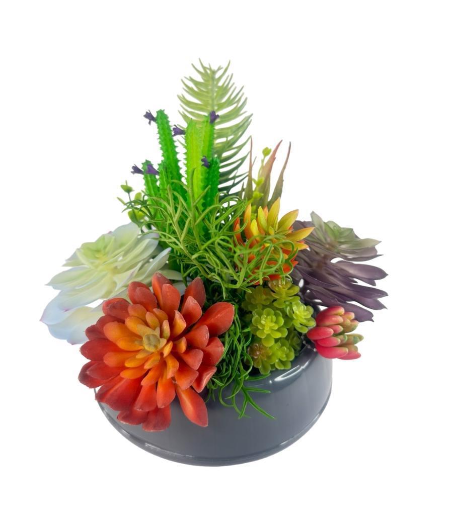 Yapay Çiçek Kaktüs Sukulent Aranjmanı Antrasit Renk Plastik Saksıda 10 adet Karışık Model Skulent