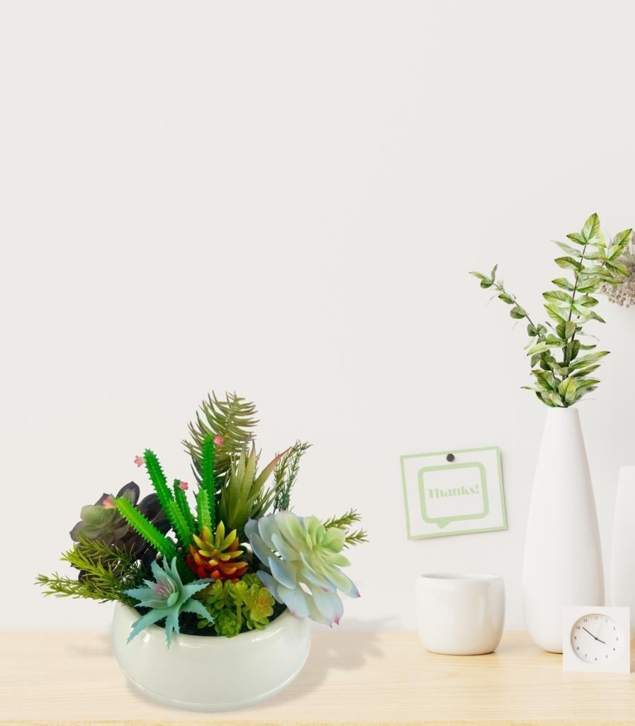 Yapay Çiçek Kaktüs Sukulent Aranjmanı Krem Renk Plastik Saksıda 10 adet Karışık Model Skulent