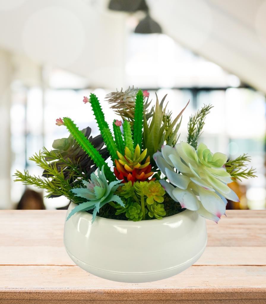 Yapay Çiçek Kaktüs Sukulent Aranjmanı Krem Renk Plastik Saksıda 10 adet Karışık Model Skulent