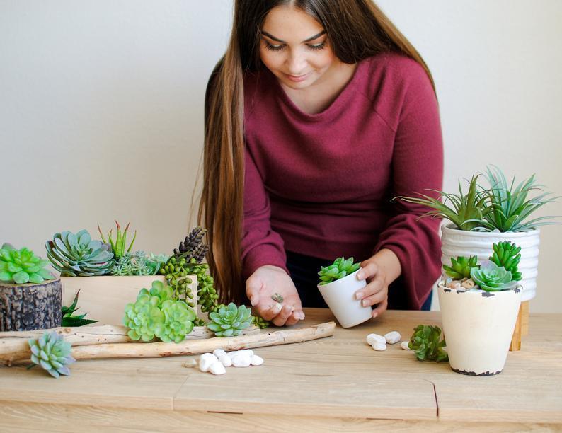 Yapay Çiçek Kaktüs Sukulent Yeşil 3lü Set Sosis Model 