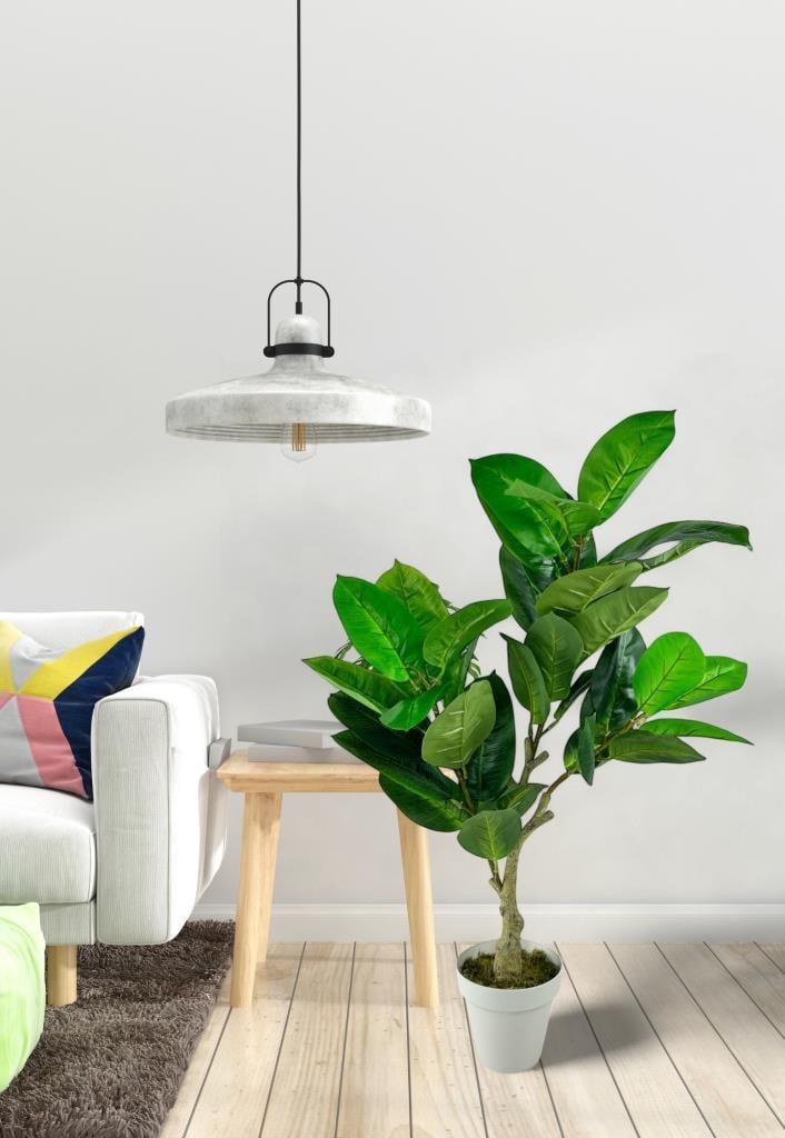 Yapay Çiçek Kauçuk Ağacı 85cm Salon Çiçeği Beyaz Saksılı Yapay Bitki