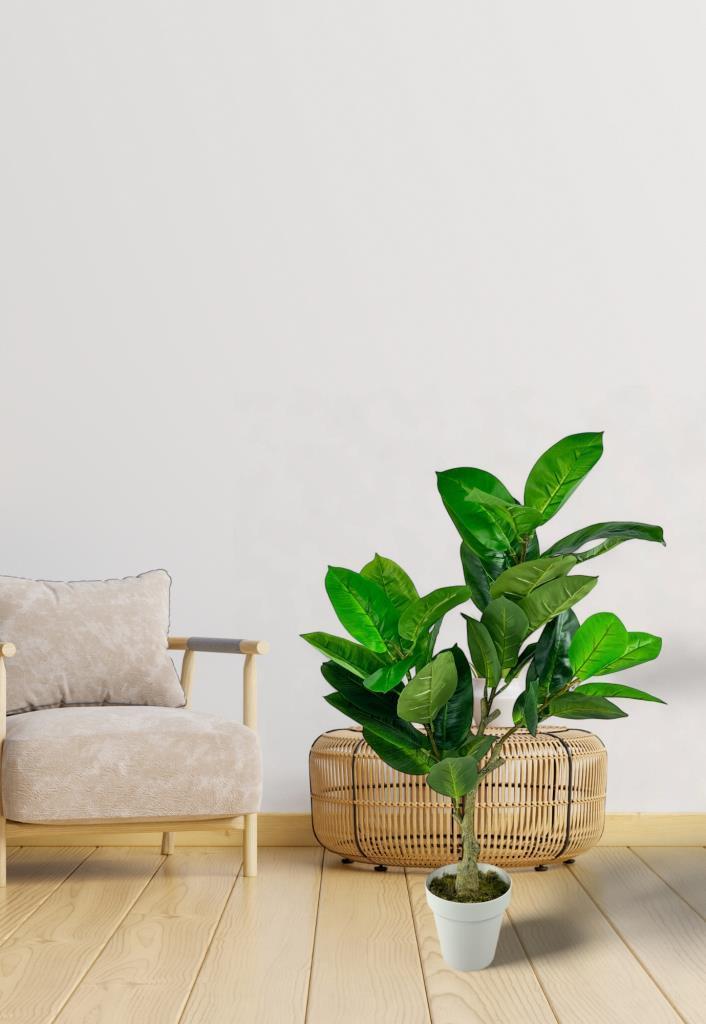 Yapay Çiçek Kauçuk Ağacı 85cm Salon Çiçeği Beyaz Saksılı Yapay Bitki