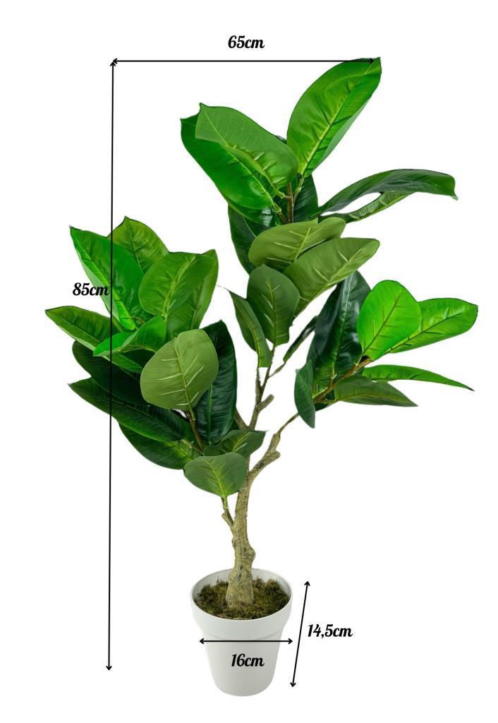 Yapay Çiçek Kauçuk Ağacı 85cm Salon Çiçeği Beyaz Saksılı Yapay Bitki