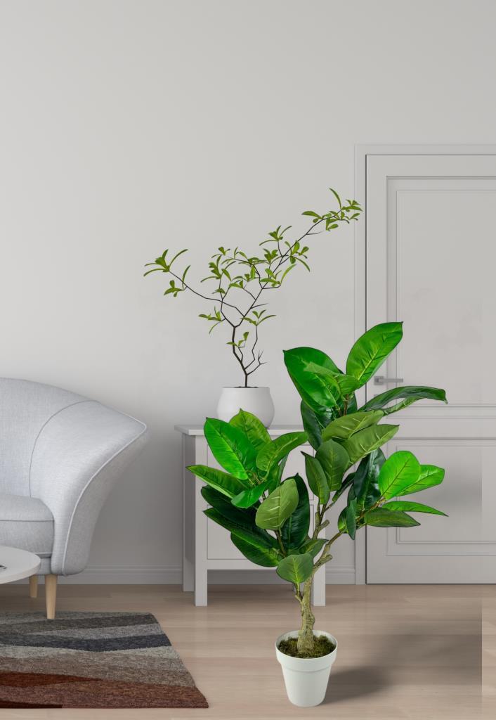 Yapay Çiçek Kauçuk Ağacı 85cm Salon Çiçeği Beyaz Saksılı Yapay Bitki