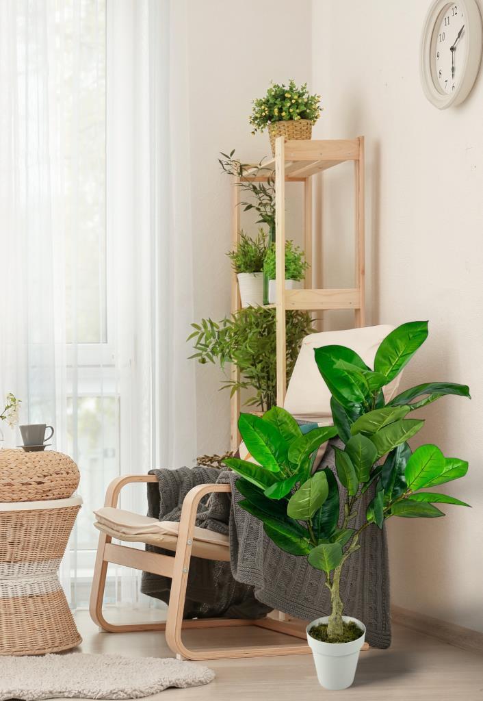 Yapay Çiçek Kauçuk Ağacı 85cm Salon Çiçeği Beyaz Saksılı Yapay Bitki