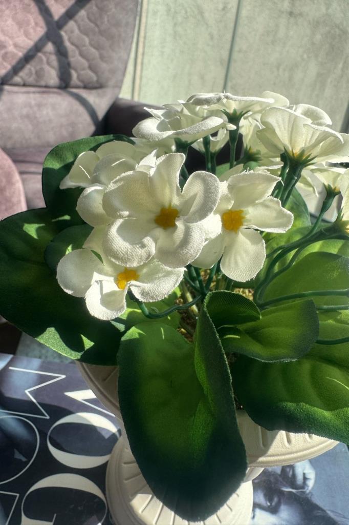 Yapay Çiçek Krem Antik Saksıda Beyaz Kadife Menekşe Gerçekçi Doku 22cm