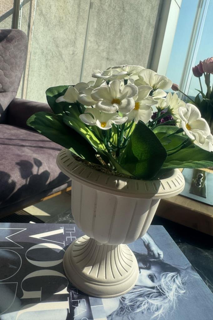Yapay Çiçek Krem Antik Saksıda Beyaz Kadife Menekşe Gerçekçi Doku 22cm