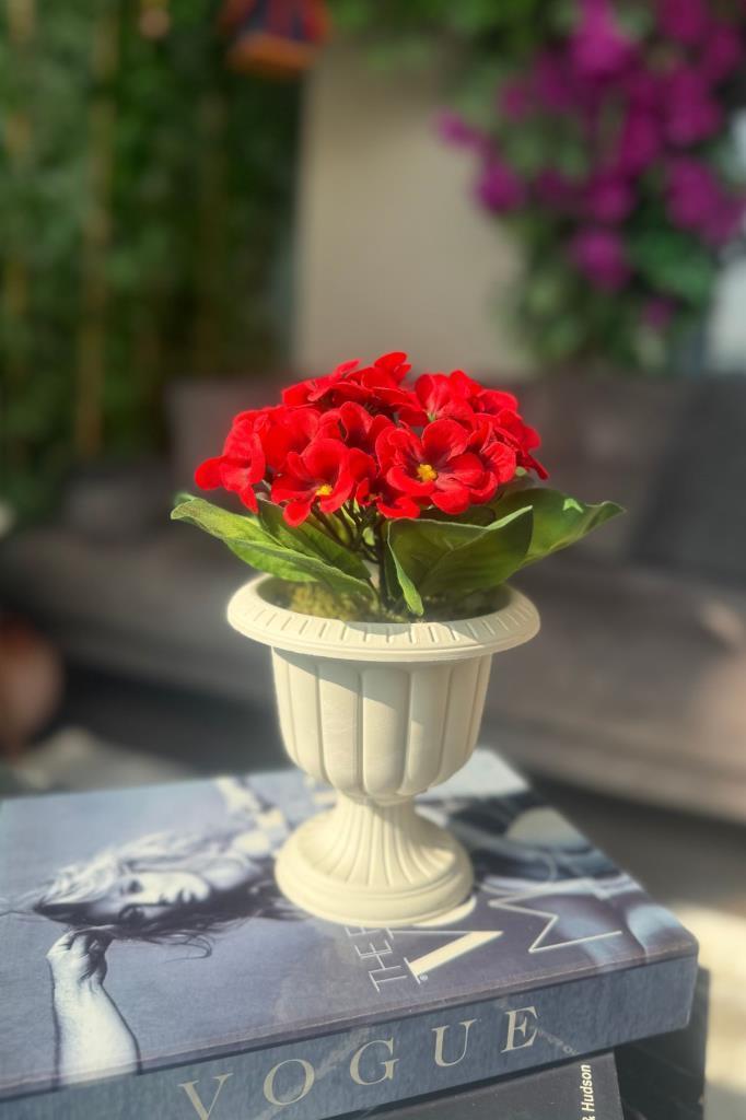 Yapay Çiçek Krem Antik Saksıda Kırmızı Kadife Menekşe Gerçekçi Doku 22cm