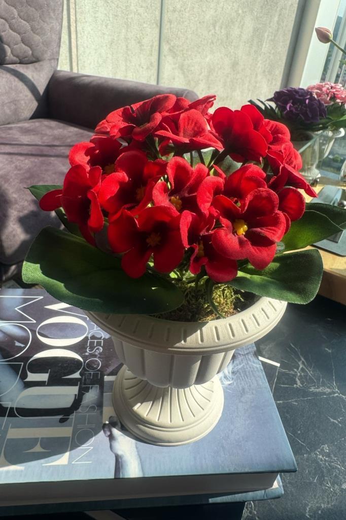 Yapay Çiçek Krem Antik Saksıda Kırmızı Kadife Menekşe Gerçekçi Doku 22cm