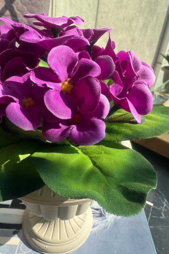 Yapay Çiçek Krem Antik Saksıda Mor Kadife Menekşe Gerçekçi Doku 22cm