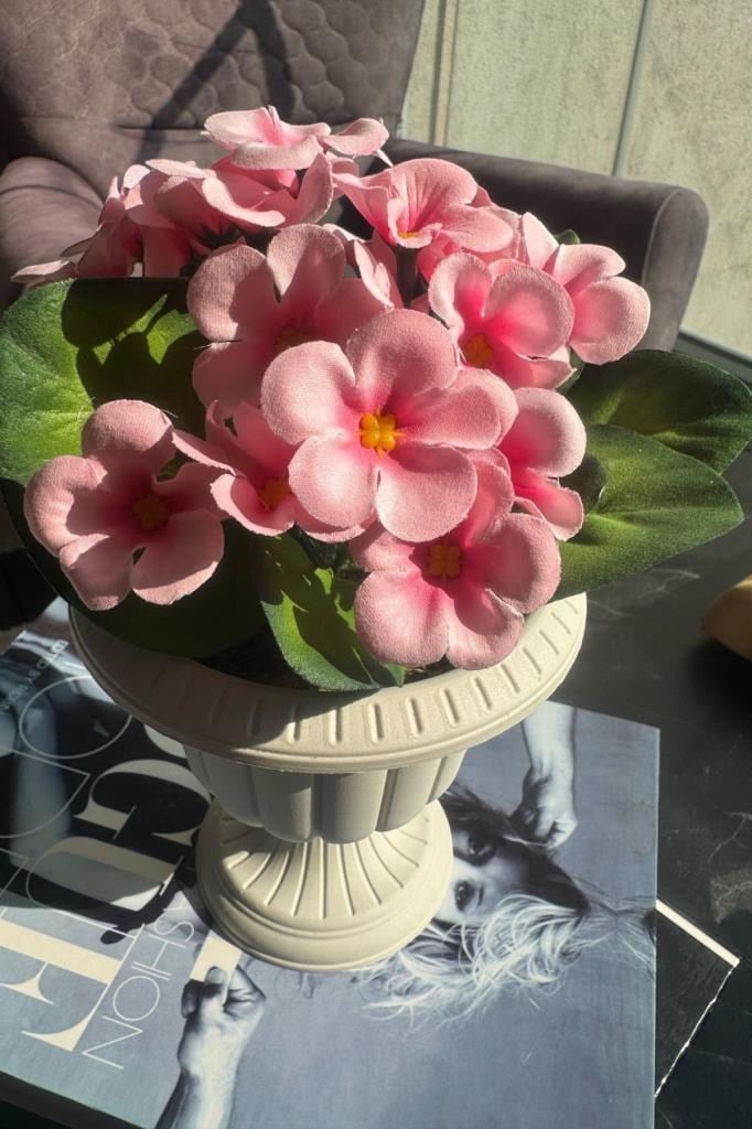Yapay Çiçek Krem Antik Saksıda Pembe Kadife Menekşe Gerçekçi Doku 22cm