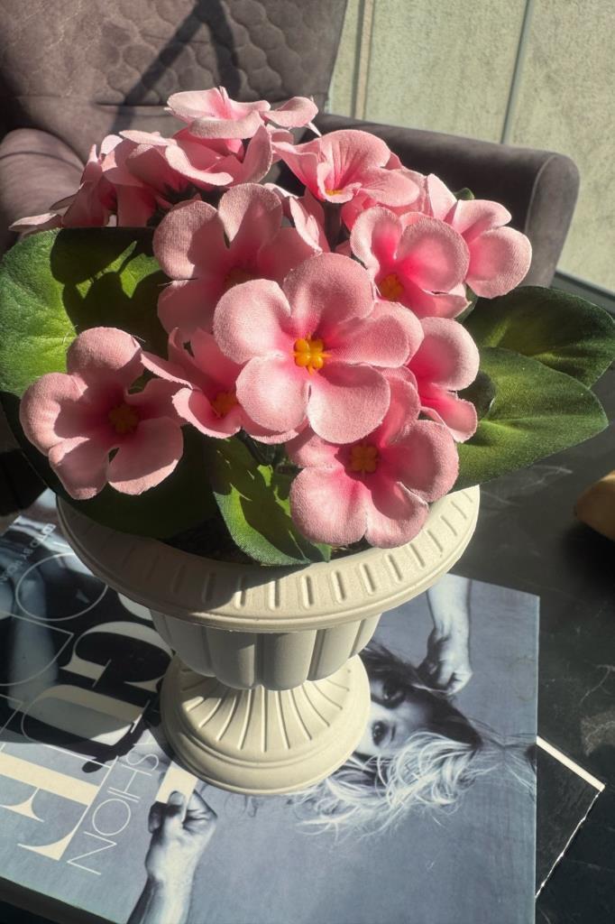 Yapay Çiçek Krem Antik Saksıda Pembe Kadife Menekşe Gerçekçi Doku 22cm