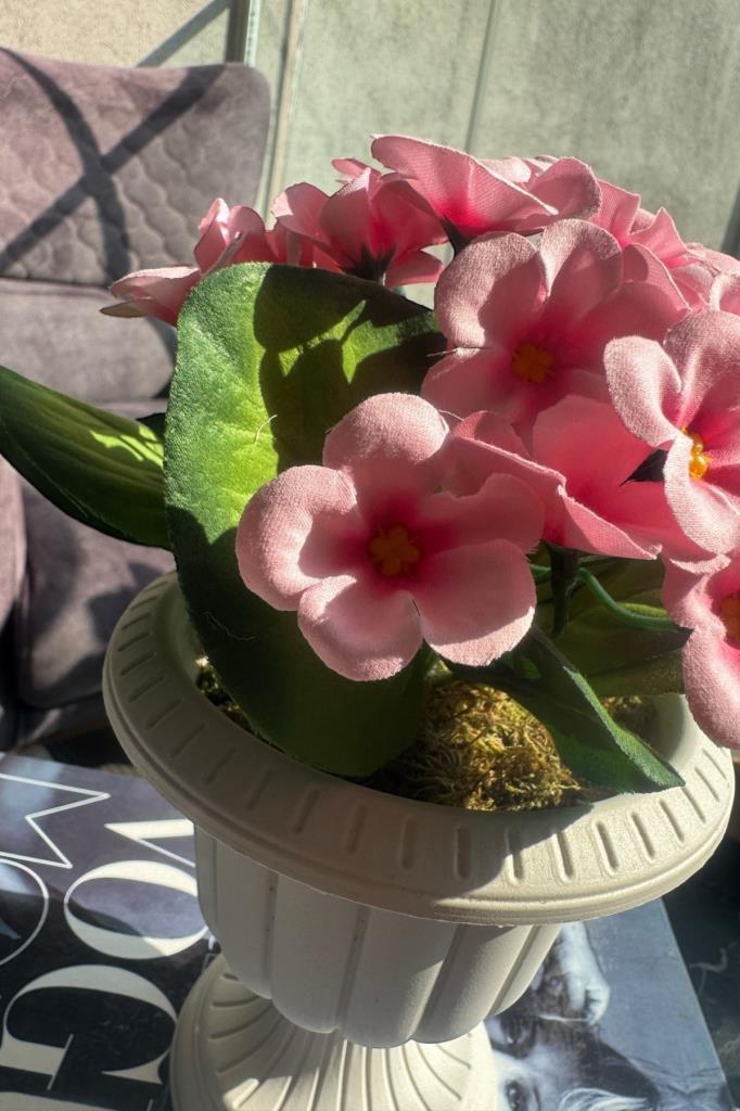 Yapay Çiçek Krem Antik Saksıda Pembe Kadife Menekşe Gerçekçi Doku 22cm