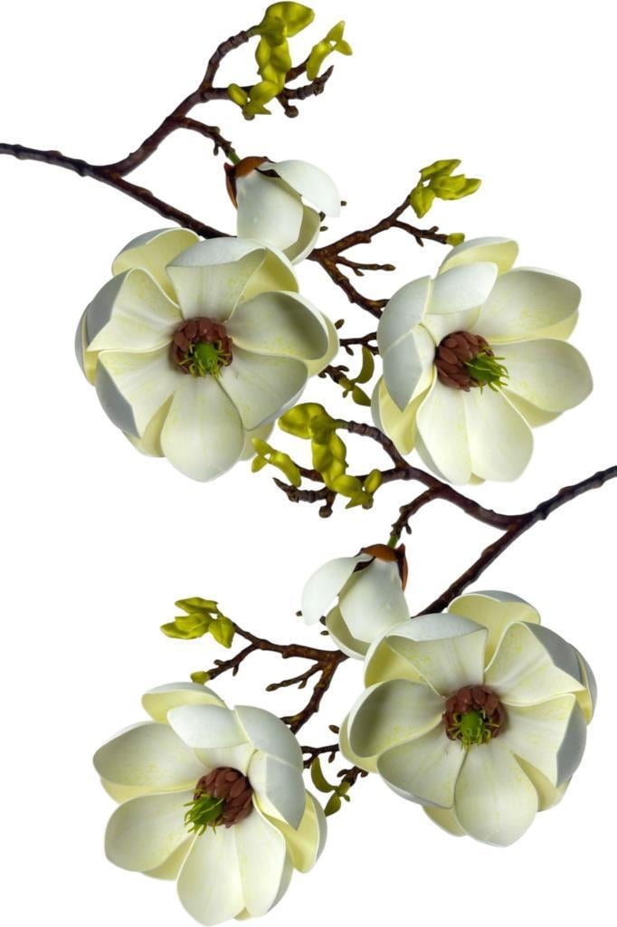 Yapay Çiçek Krem Eva Manolya 2 Çiçek 1 Tomurcuk Uzun Dal Çiçek Flowers 55cm Gerçeksi Doku
