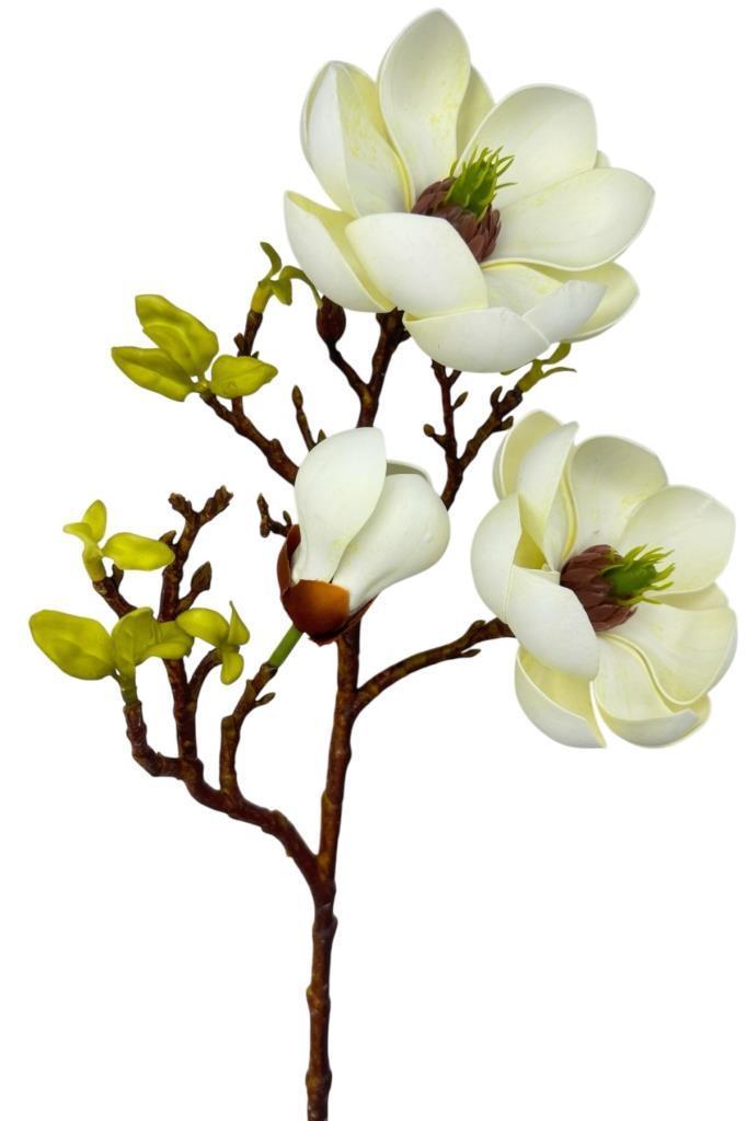 Yapay Çiçek Krem Eva Manolya 2 Çiçek 1 Tomurcuk Uzun Dal Çiçek Flowers 55cm Gerçeksi Doku
