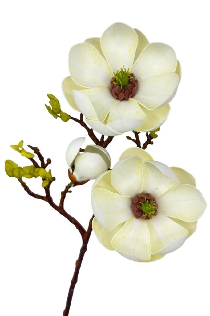 Yapay Çiçek Krem Eva Manolya 2 Çiçek 1 Tomurcuk Uzun Dal Çiçek Flowers 55cm Gerçeksi Doku